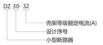 DZ30-32系列小型断路器-上海人民电器开关厂集团有限公司